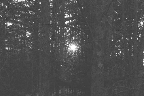 Here Comes the Sun　11-17-08