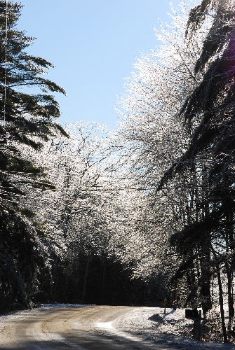 Ice Storm（雨氷）　12-13-08