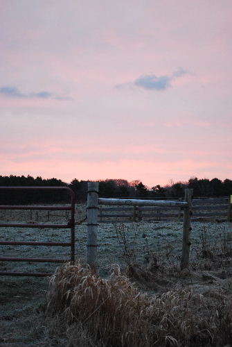 Black Fridayの朝焼け11-28-08