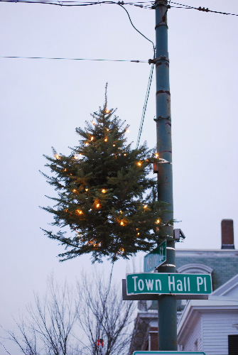 空に浮かぶクリスマスツリー11-28-08