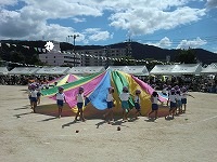 CIMG2856.jpg