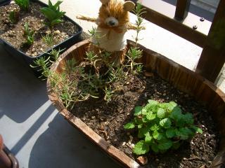 20090320-6.jpg