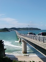 CIMG0956.jpg