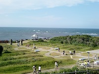CIMG0986.jpg