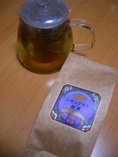20090311-1.jpg