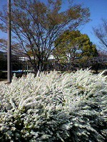 s-20110405-1.jpg