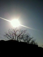 20100228-1.jpg