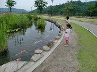 CIMG0570.jpg