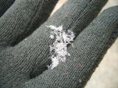 20090217-4.jpg