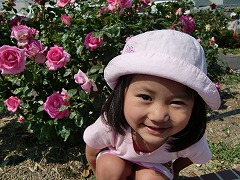 CIMG0474.jpg