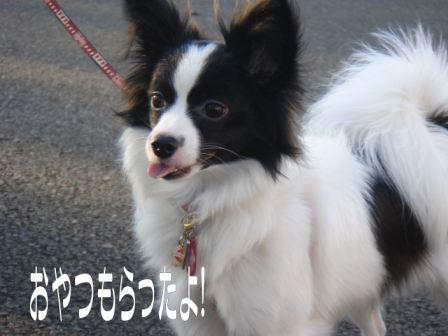 jasmine 1126 006.JPG