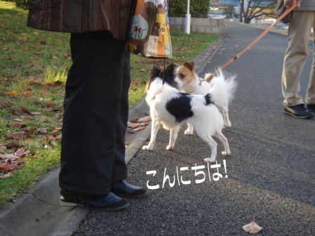 jasmine 1126 007.JPG