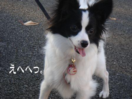 jasmine 1126 009.JPG