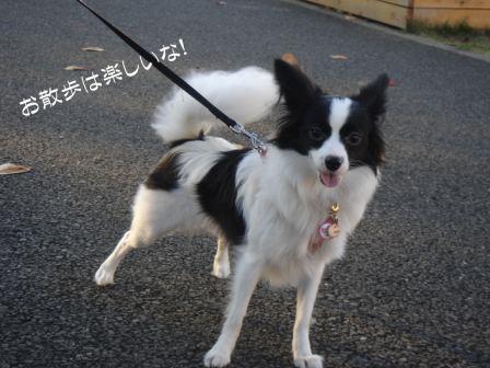 jasmine 1126 014.JPG