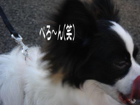 jasmine 1126 018.JPG