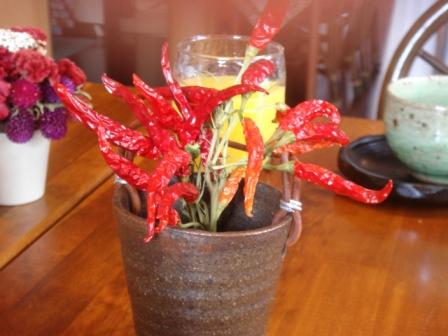 karuizawa20081114 011.JPG