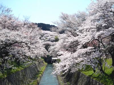 琵琶湖疏水