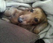 20100304.jpg
