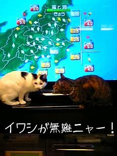 さちペン　天気