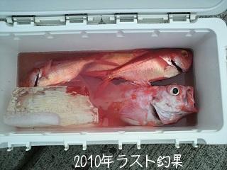 釣果