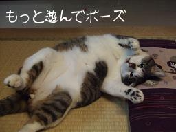 ケン
