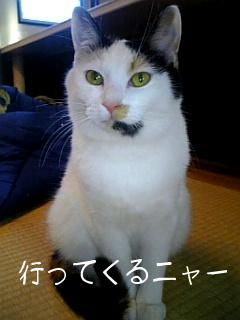 ペンペン