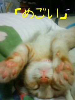 ポッキー　方言