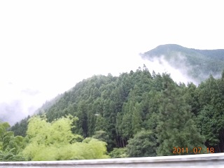 西の谷ふれあいの森