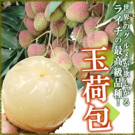 lychee-gyokkaimage01.jpg