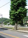 下井口駅付近