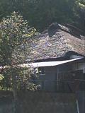 下井ノ口付近