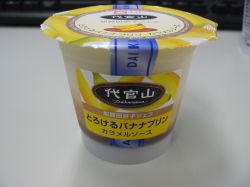 代官山 とろけるバナナプリン
