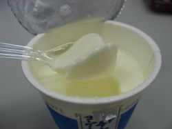 オハヨー_レアチーズヨーグルト（中身全体）