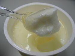 よつ葉_十勝プレーンヨーグルト（中身全体）