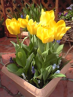 06-04-09_14-50.jpg