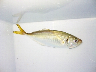 s-091011_2011331.jpg
