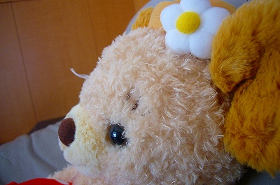 2011.02.16_cuddly_up.jpg