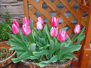 s-DSC03101.jpg