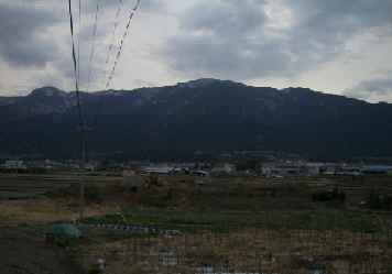 朝