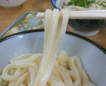 冷やしつけうどん2