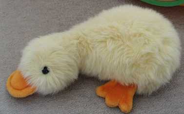 オークションで落札したカモノハシのぬいぐるみ