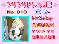 フリフリドレス同盟