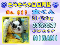 きらきらお目目同盟