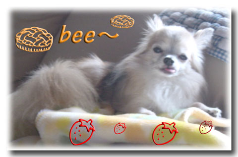 bee.jpg
