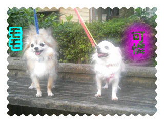 休.jpg