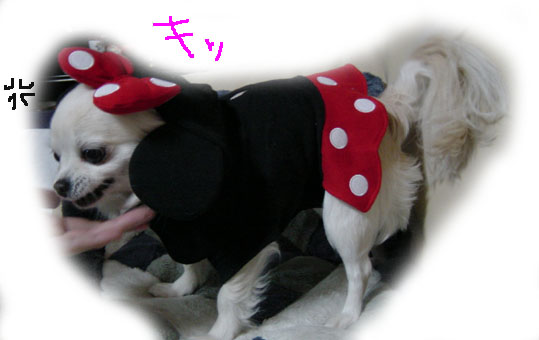 きっ