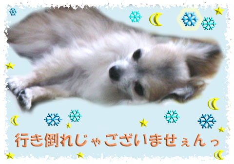 行き倒れ.jpg