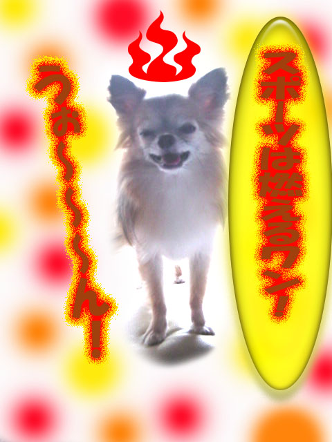 燃える.jpg
