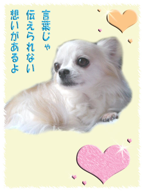 言葉じゃ.jpg