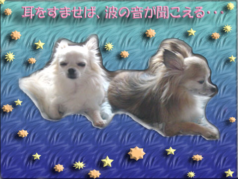 波.jpg